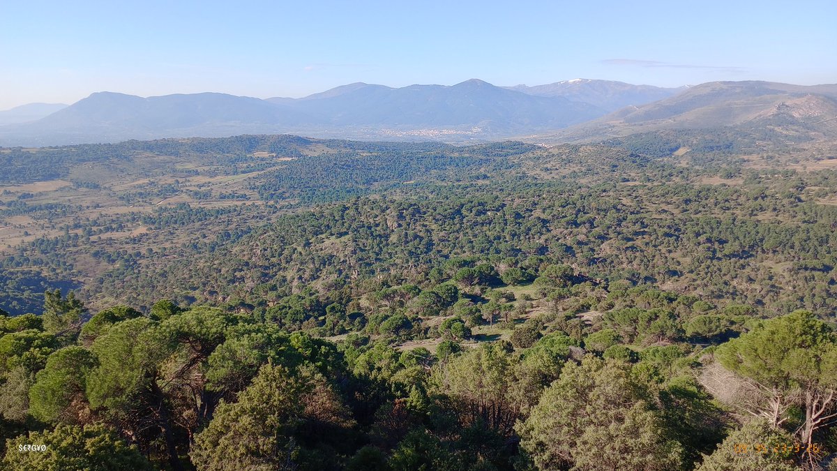 SERGIO SÁNCHEZ BLANCO tweet media