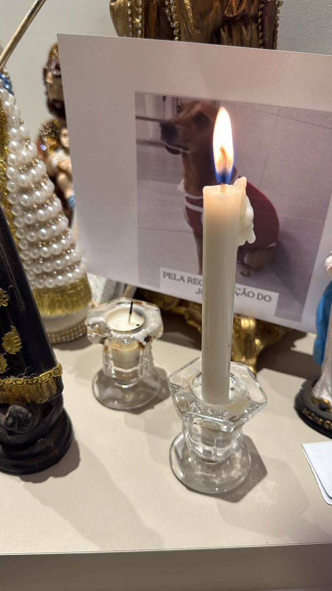 Amandinha 🇧🇷🚩 tweet media