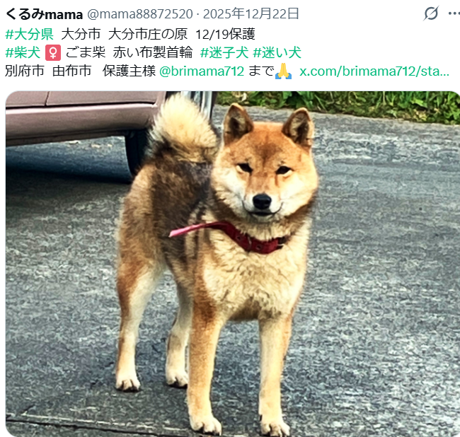 くるみmama tweet media