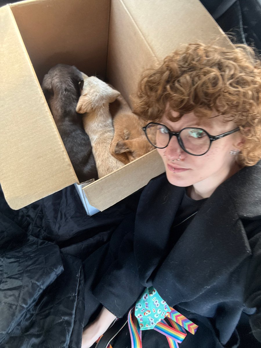 hellfire jr tweet media