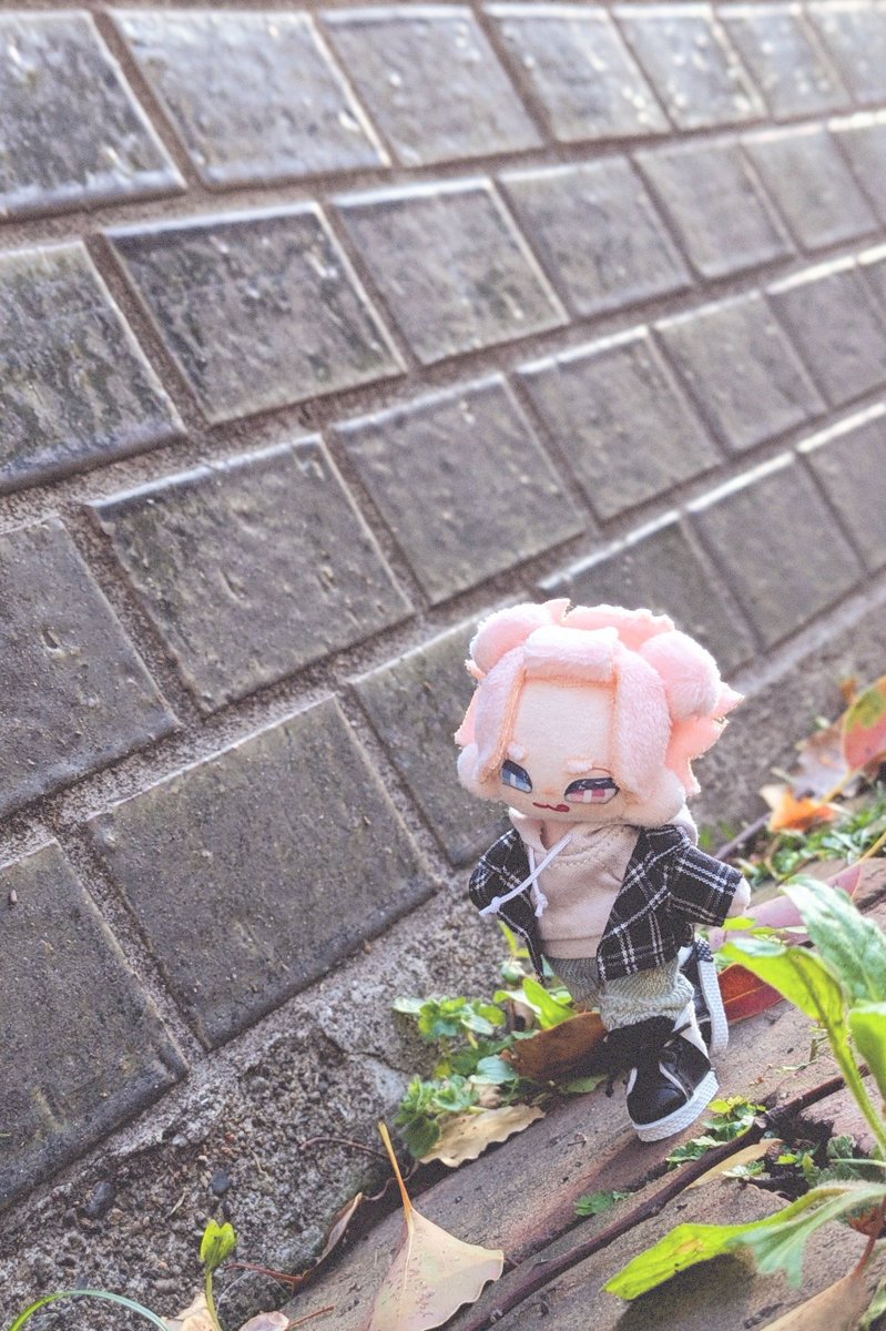 #ぷにみお
#ふわほり