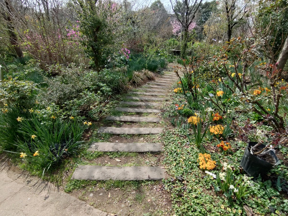 すみち tweet media