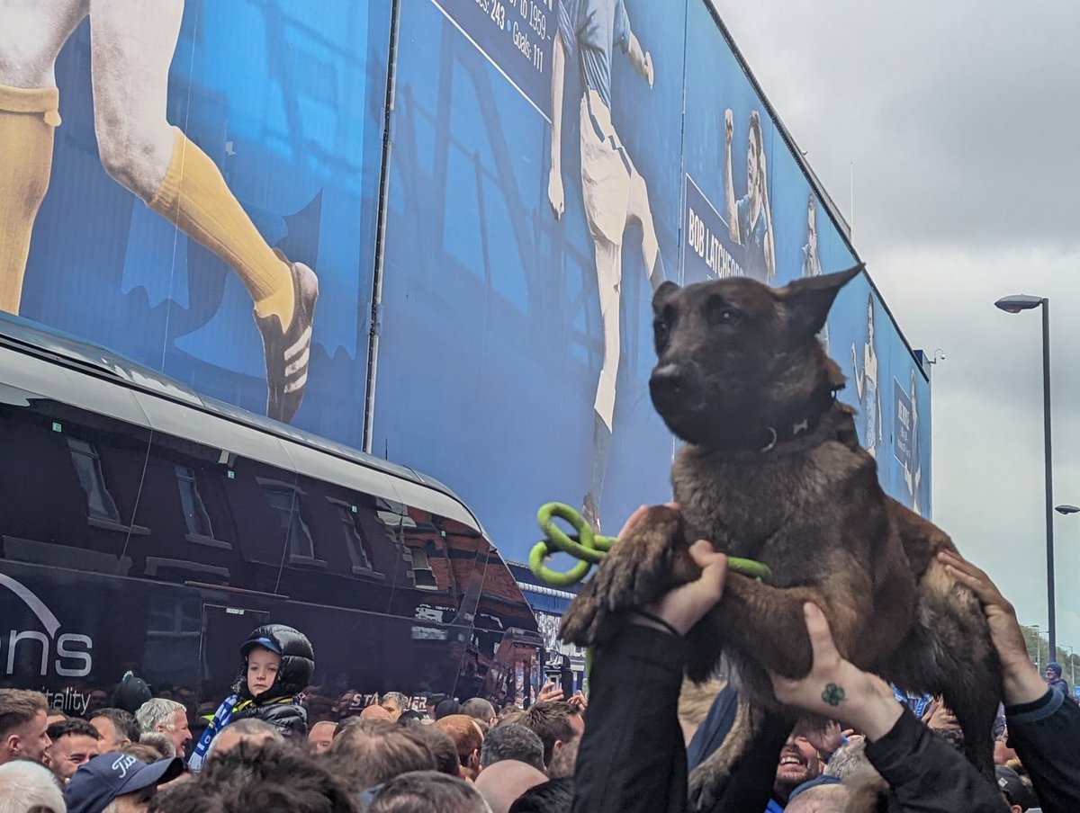 Colin Butterworth tweet media