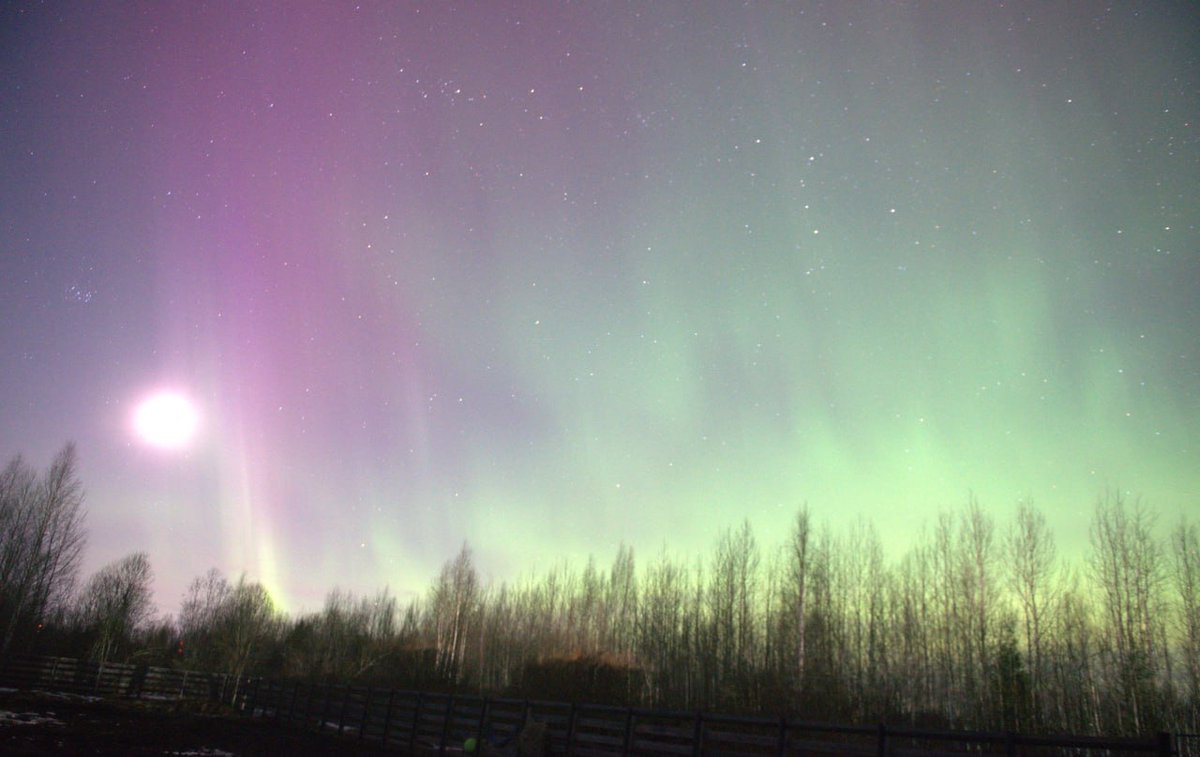 hyperwolf 🐺🐴🌌🛸🇰🇵 tweet media