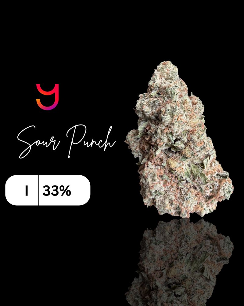 Cportmerch's tweet photo. https://t.co/r9k9bJgkCZ
Adult Use Only 21+ β οΈ
#YAGAFARMS discount code: CPORTMERCH πΈ
Sour Punch
#SourPunch is a dense, greenhouse-grown indica THCa cannabis flower cultivated in a state-of-the-art mixed light environment combining natural sunlight with supplemental LED lighting.