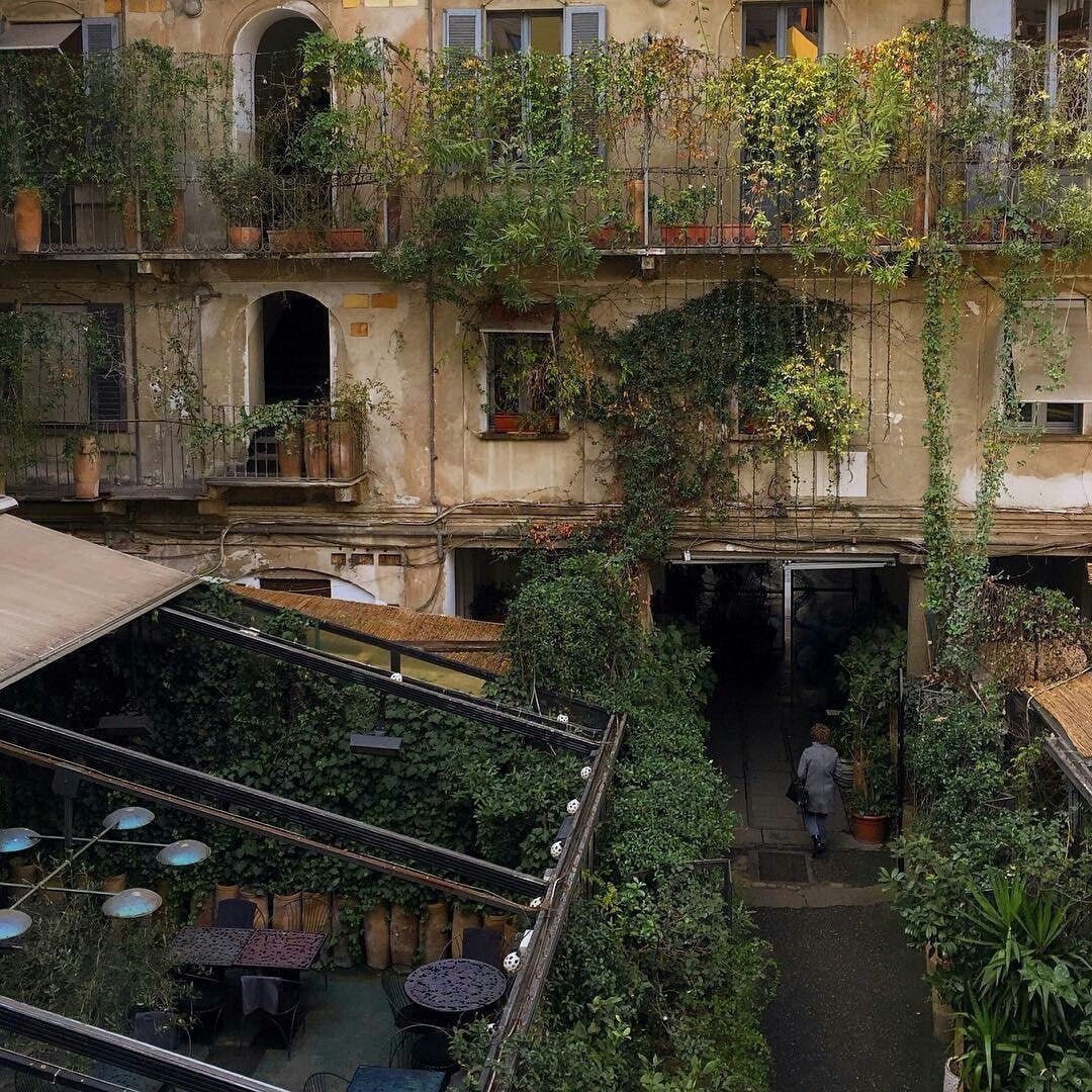 Libertina tweet media