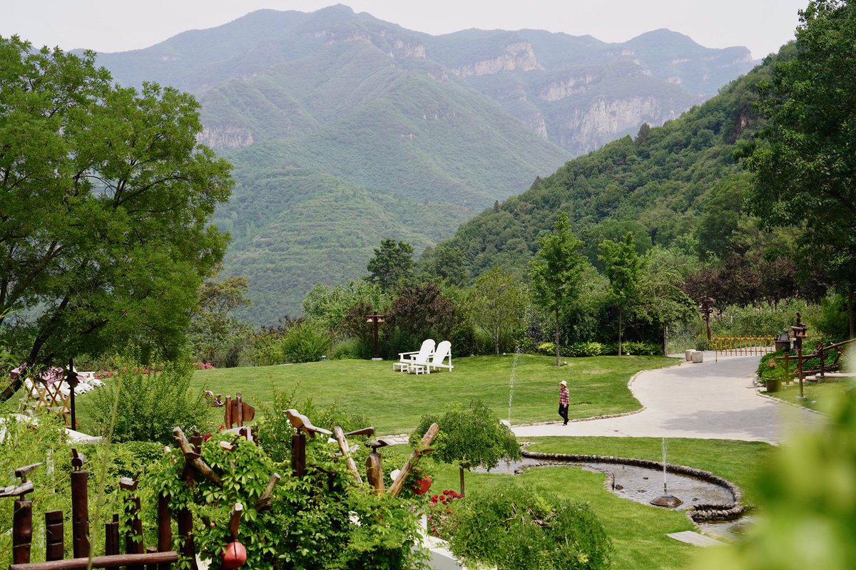 Andy Richardson tweet media