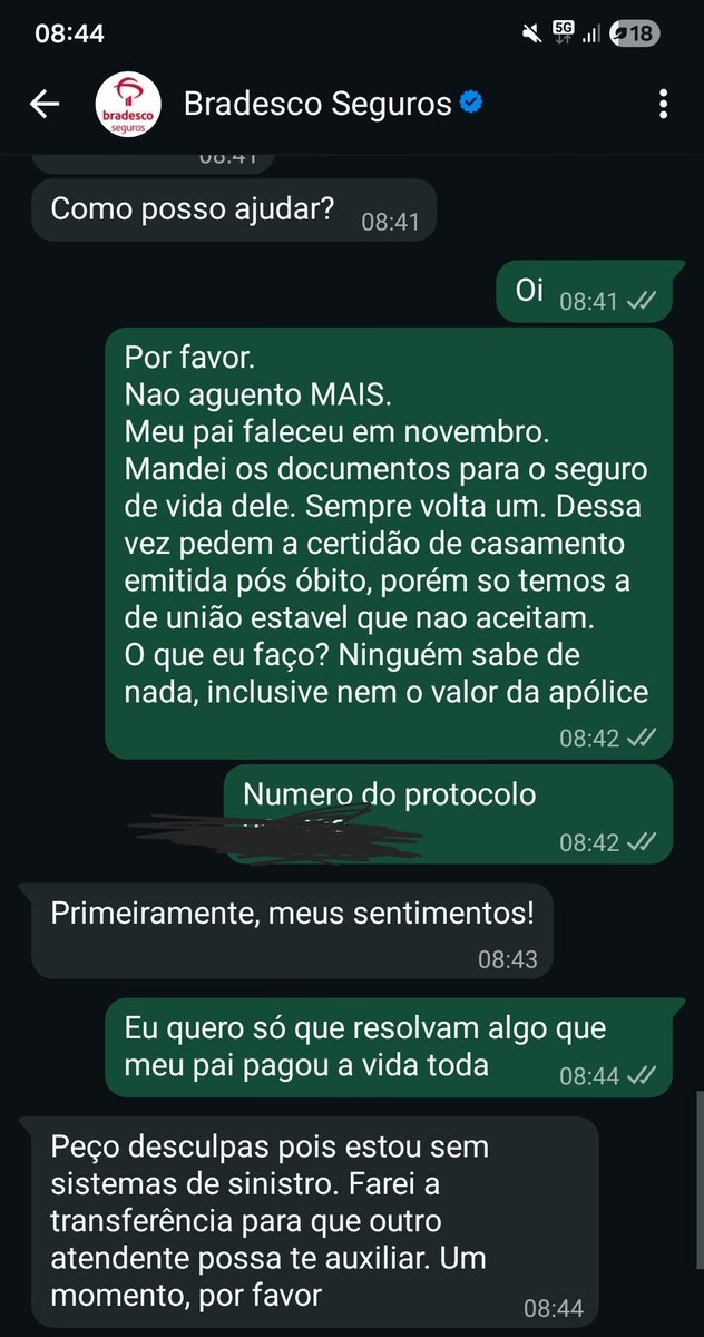 Renan Freitas tweet media