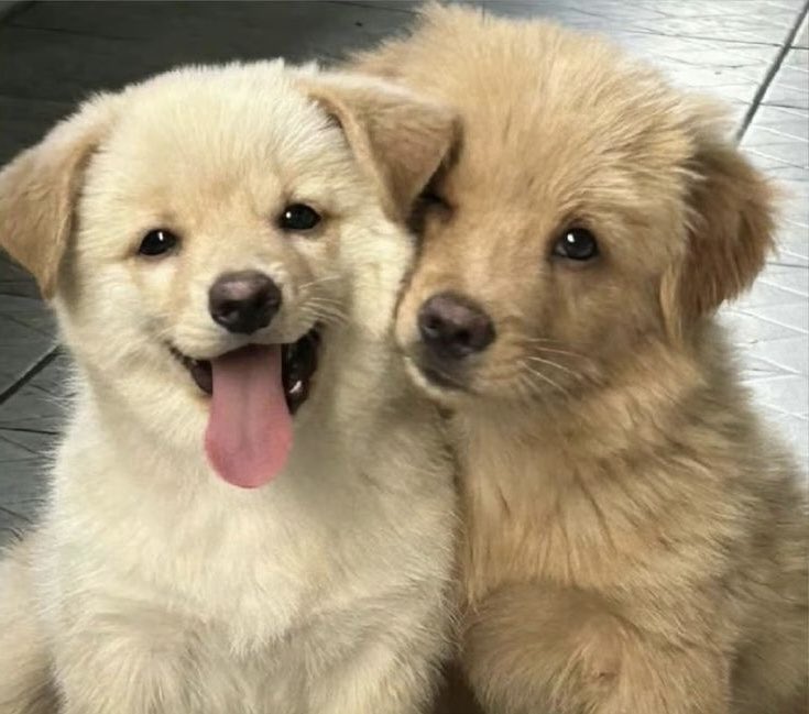 𝟅𝟈 tweet media