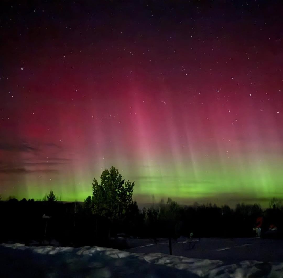 Alexey DXman tweet media