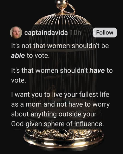 Fairy to the World Bastard of Light, I Am tweet media