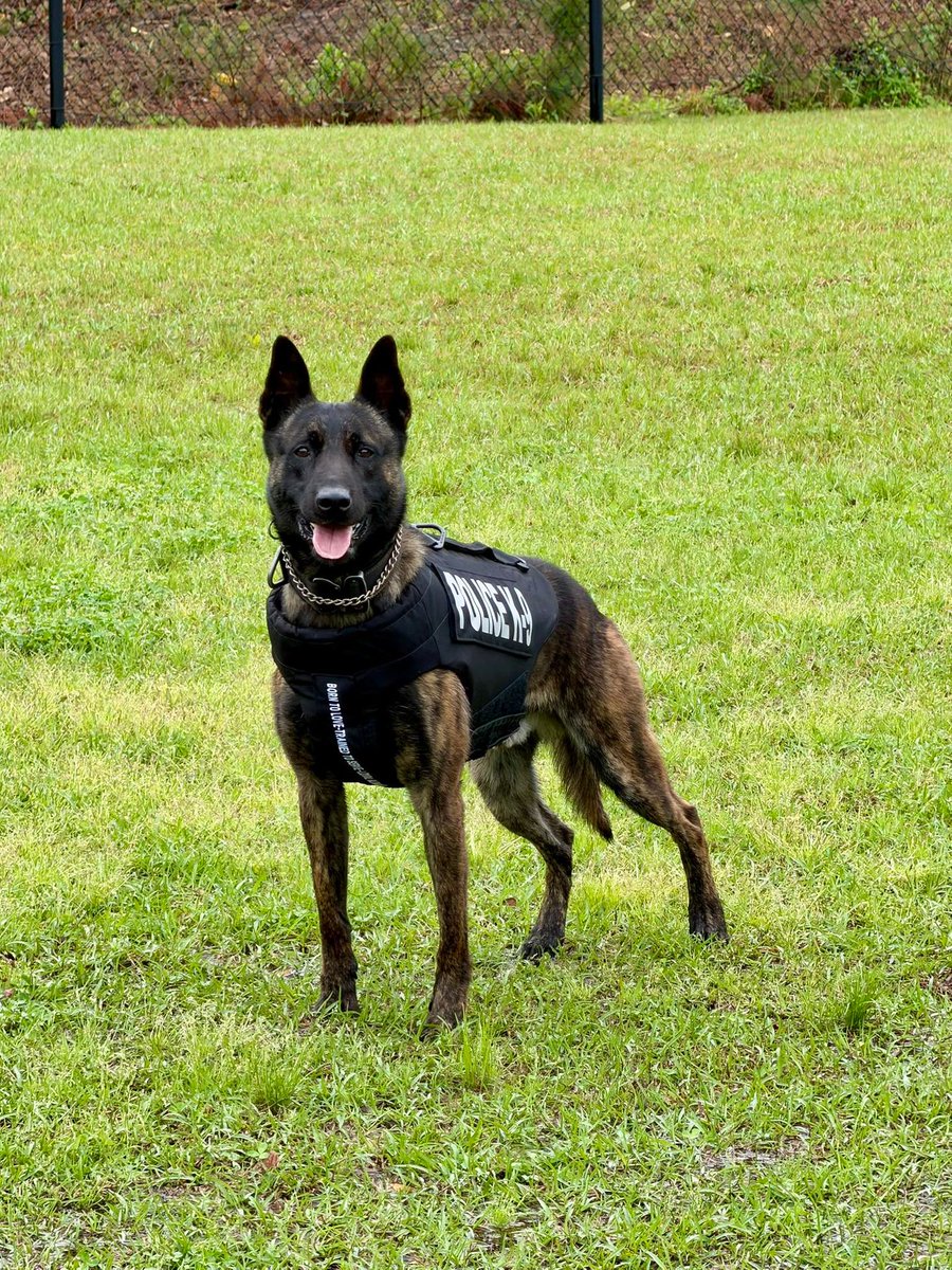 Vested Interest in K9s tweet media