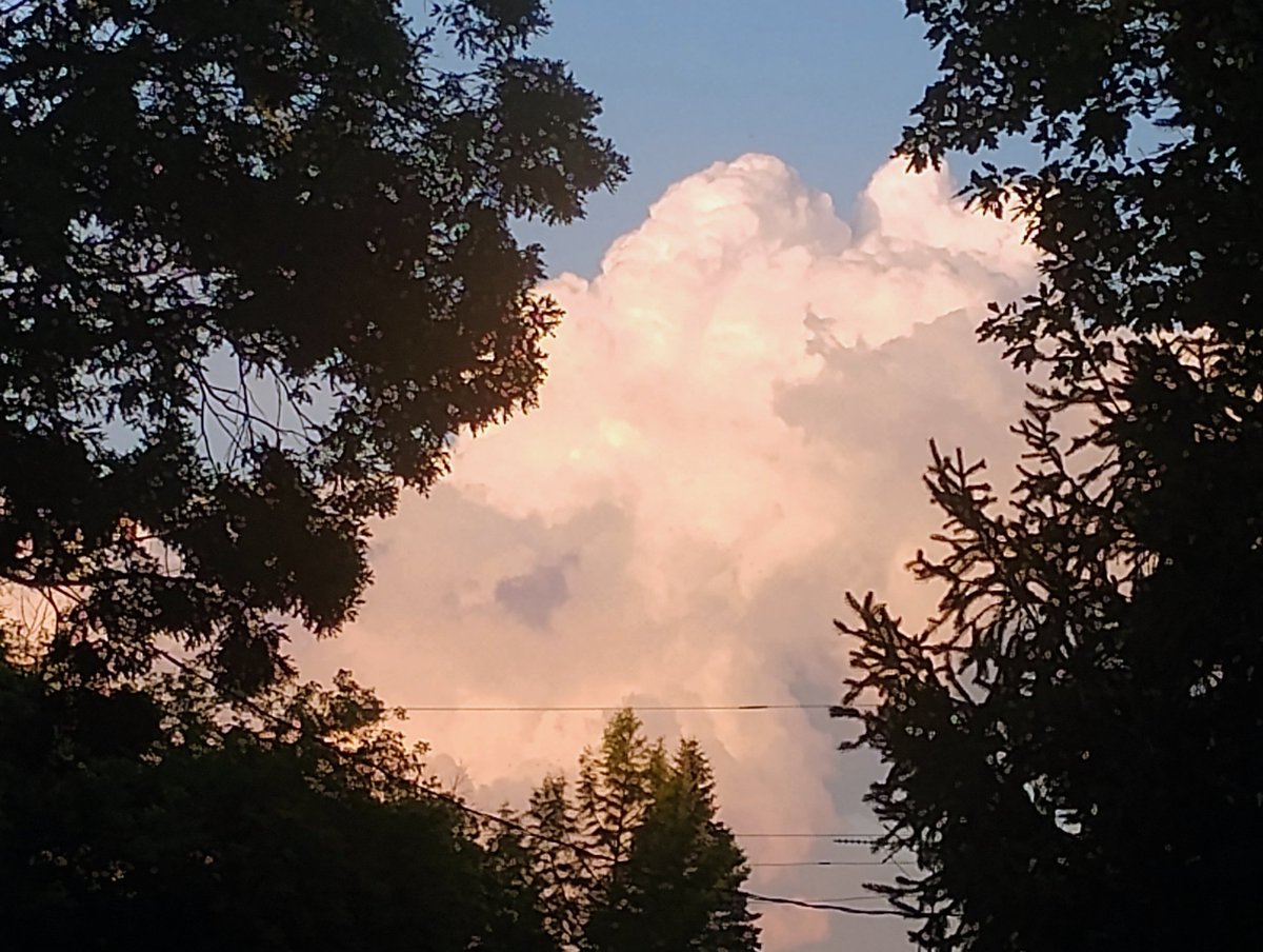 Special Glaciers Unit 🧊🕵️‍♀️🕵️‍♂️ (30+) tweet media