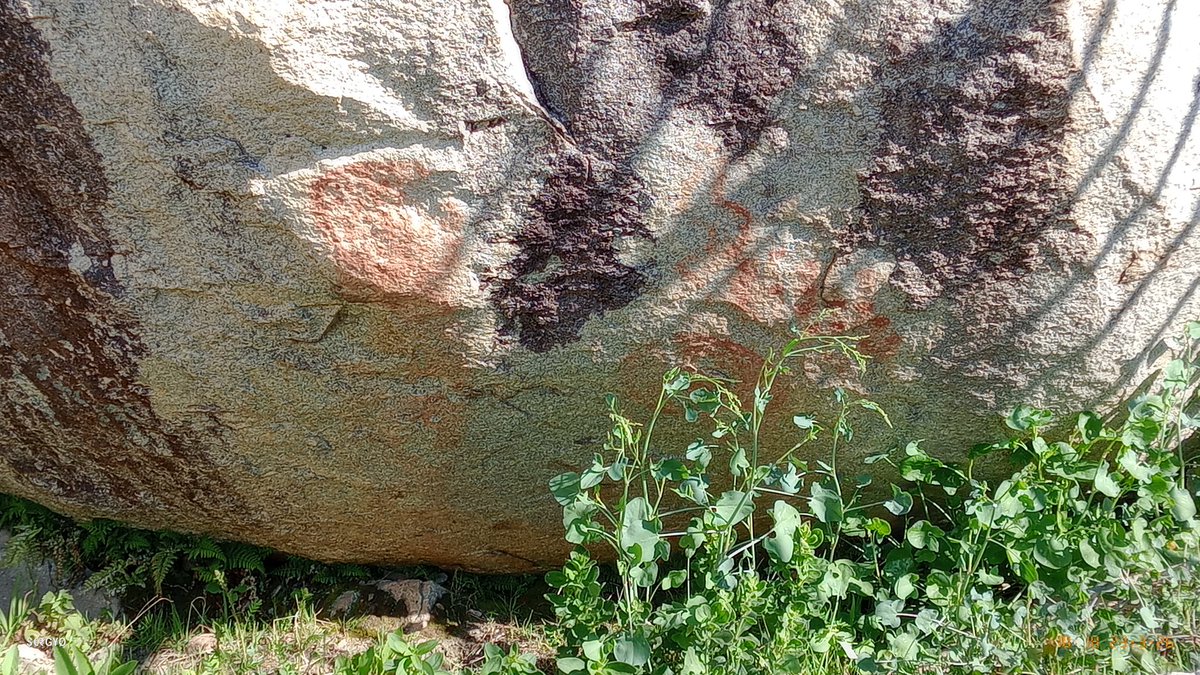 SERGIO SÁNCHEZ BLANCO tweet media