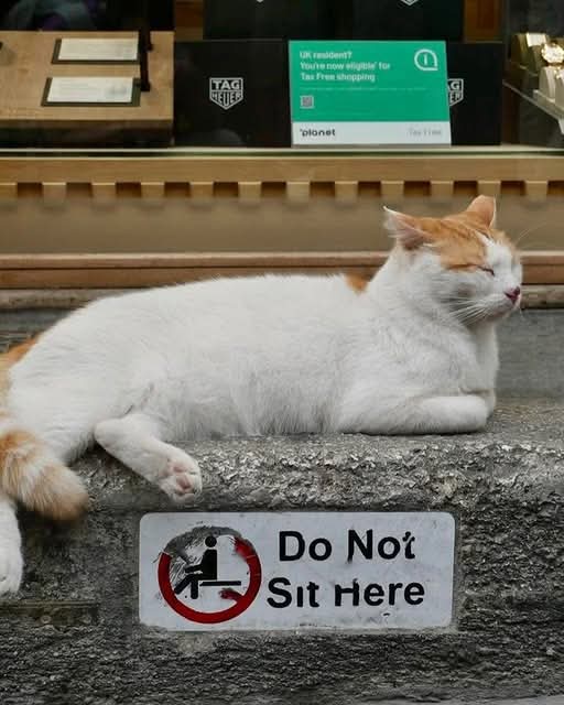 Tony_Ginger's tweet image. Hello Monday :) xxx :) #takeiteasy :)