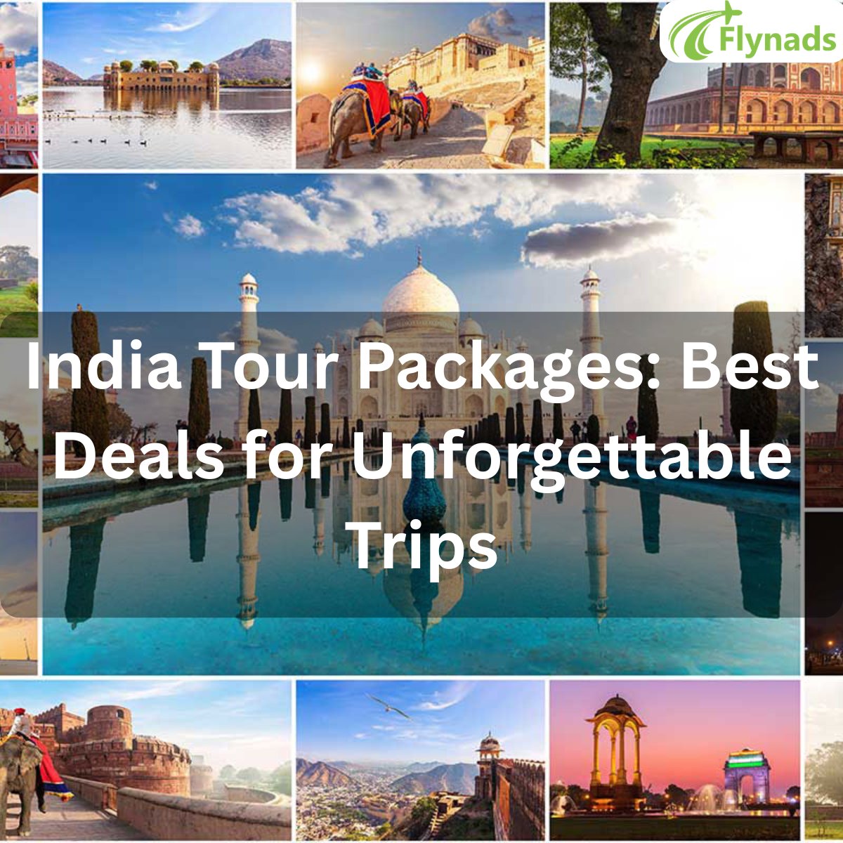 FlyNads's tweet photo. 🌏 Discover the magic of India with the best tour packages.
👉 Explore now: https://t.co/7rp6S0Hthx

#indiatourpackages #incredibleindia #travelindia #exploreindia #traveldeals #holidaypackages #wanderlustindia #tripplanning #vacationindia #flynads #travelwithflynads https://t.co/p78KczPQGC