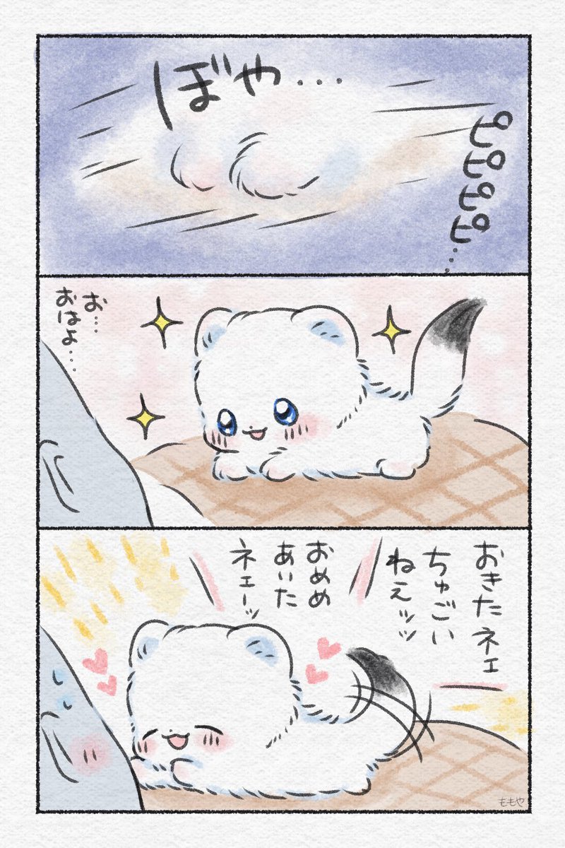 ももや｜おこさまおこじょ tweet media