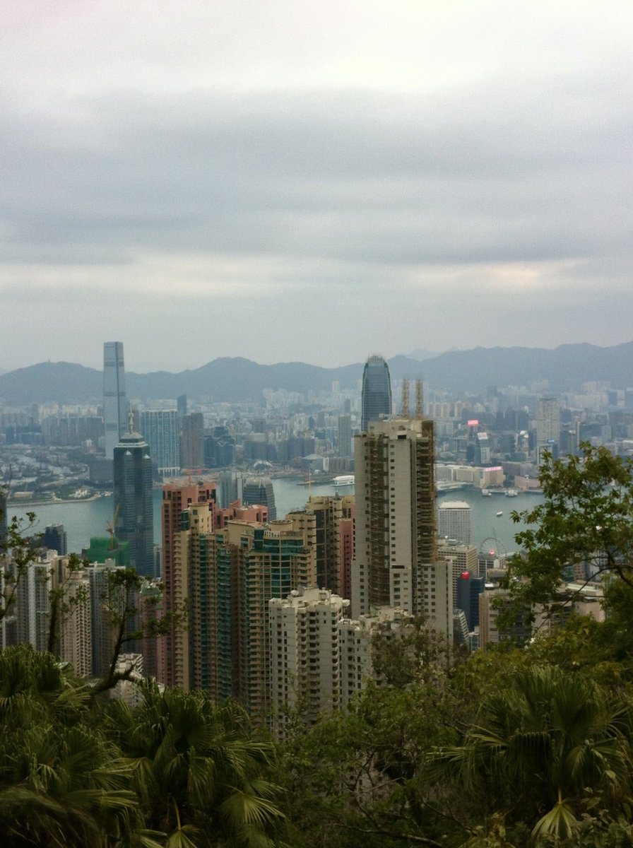 Canoopsy tweet media