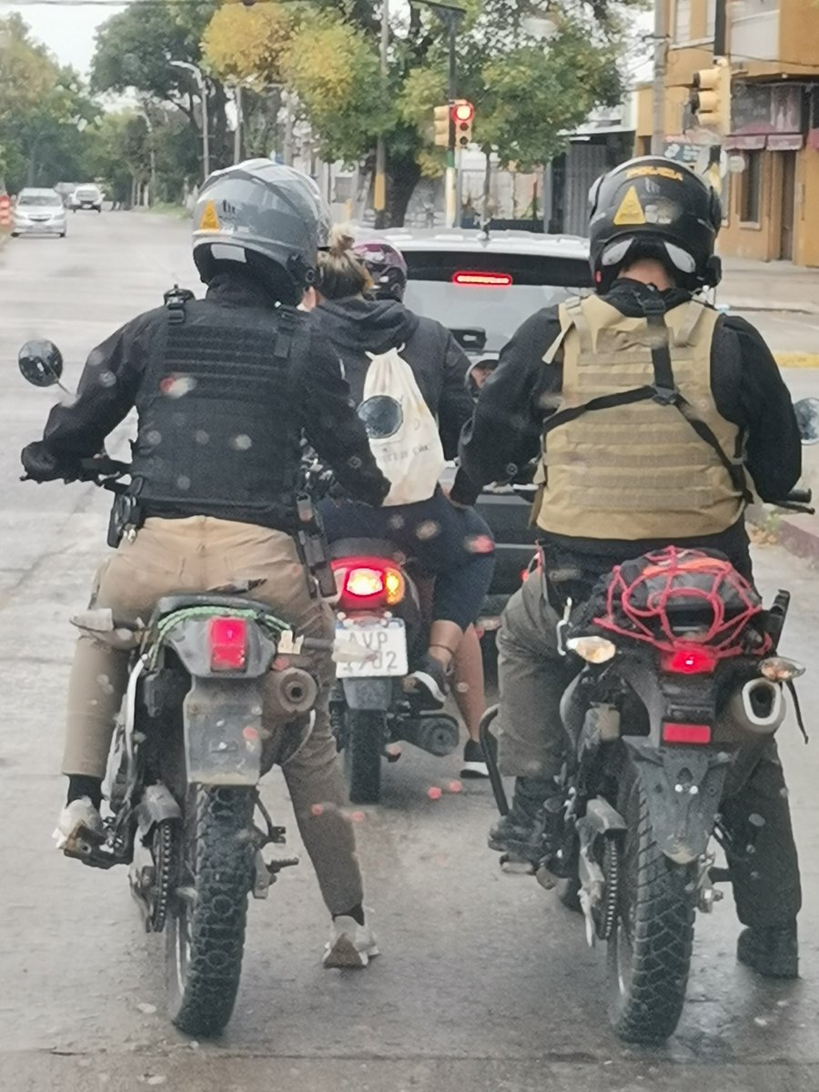 @elgonza 🌱🌼 tweet media