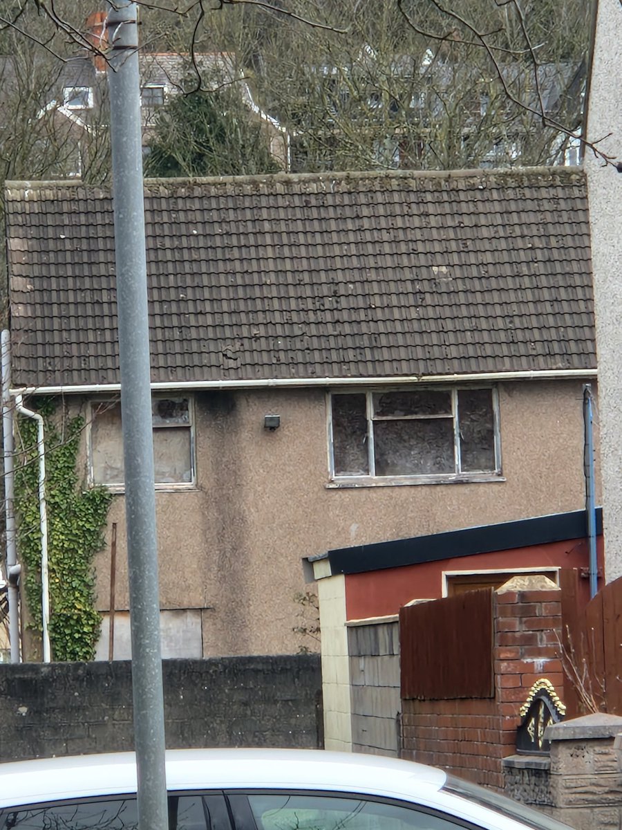 Lorena Knobchopper🏴󠁧󠁢󠁷󠁬󠁳󠁿 tweet media