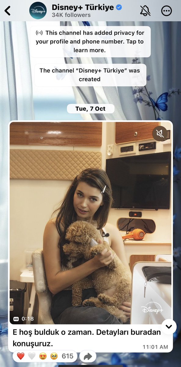 𝐍𝐄𝐇𝐀𝐋 | نِهَـال 🦋 tweet media