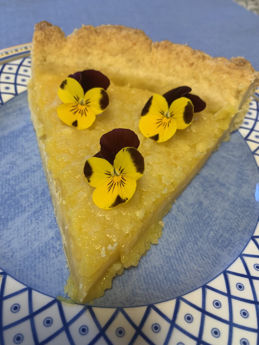 Dr. Karen v. Mücke tweet media