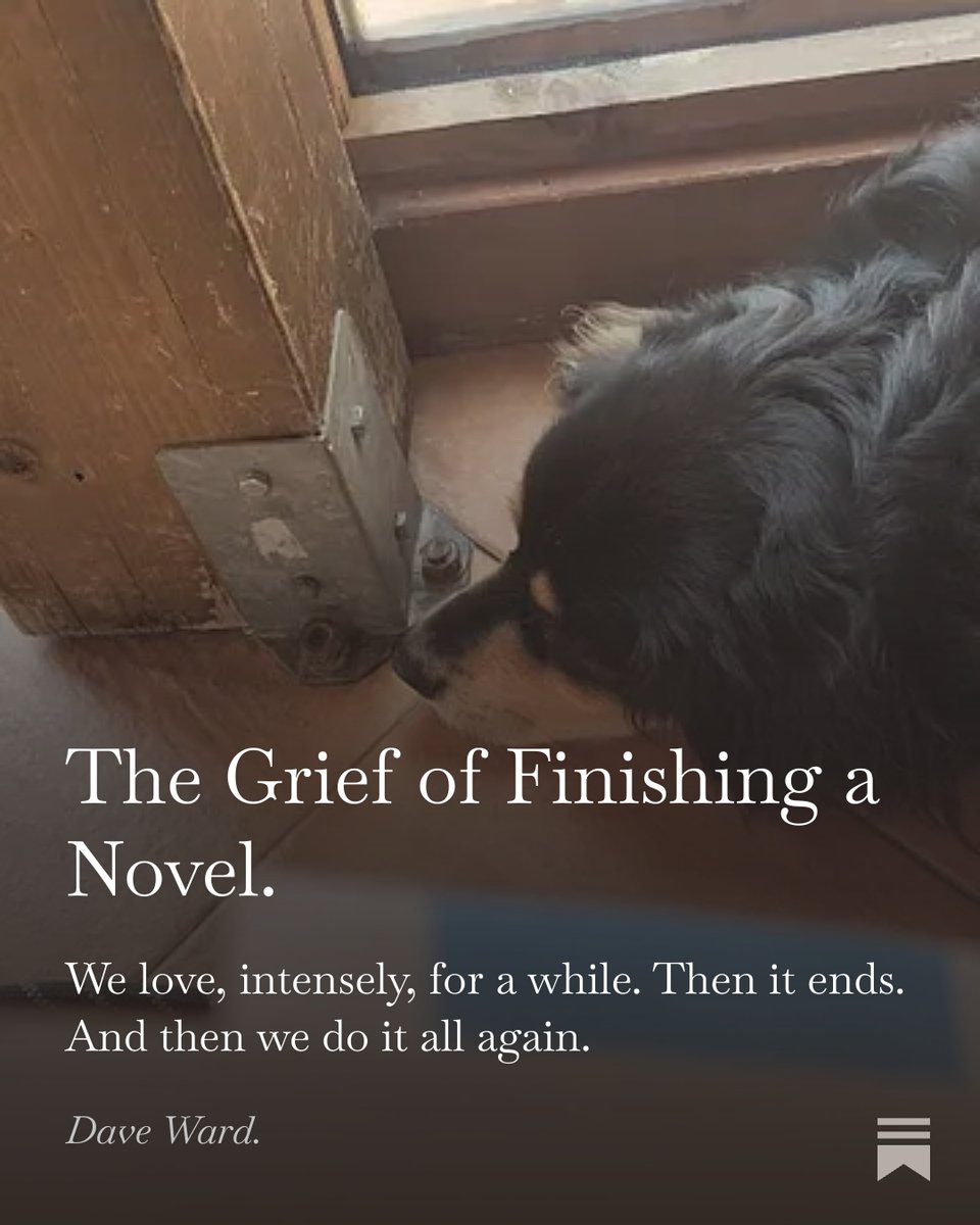 Dave/David/Davide. 🇮🇹🇽🇰🇬🇧 🦖🦕 tweet media