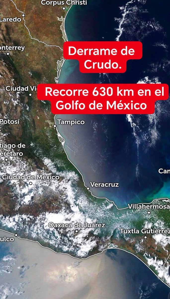 Rubén Portillo PROTESTO LO NECESARIO tweet media