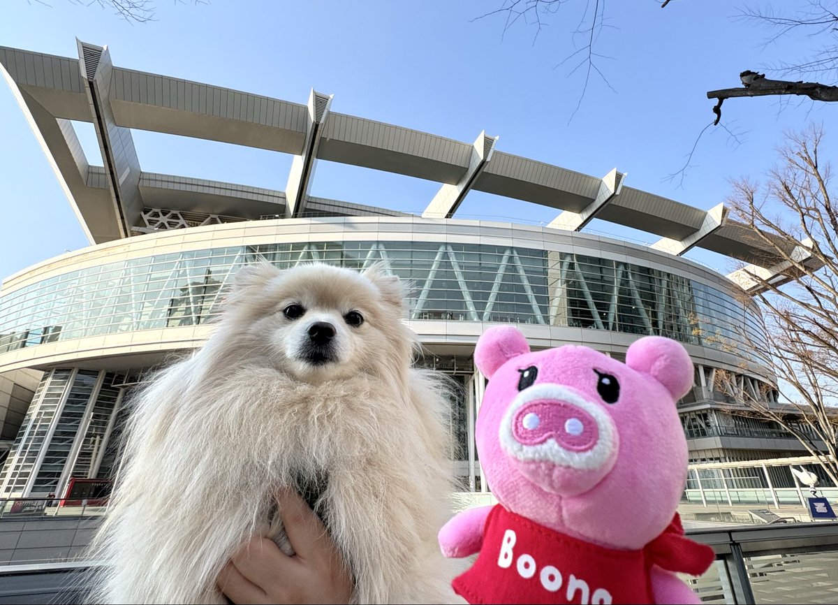 ⭐️今日のぽめチュ⭐️ tweet media