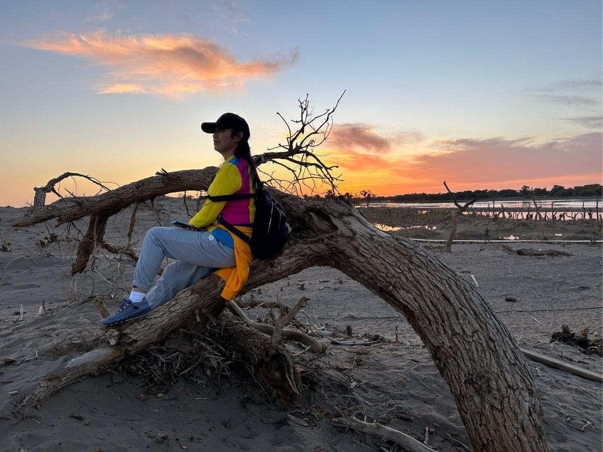 Angel Vu tweet media