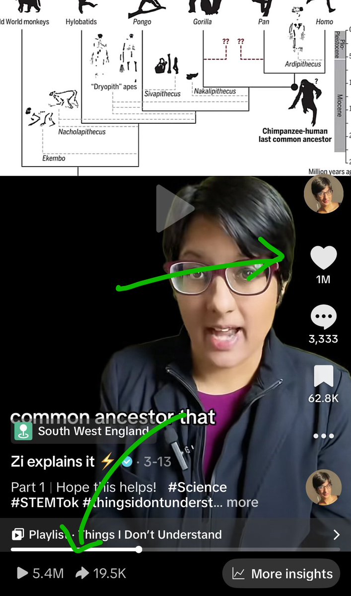 Zion Lights tweet media