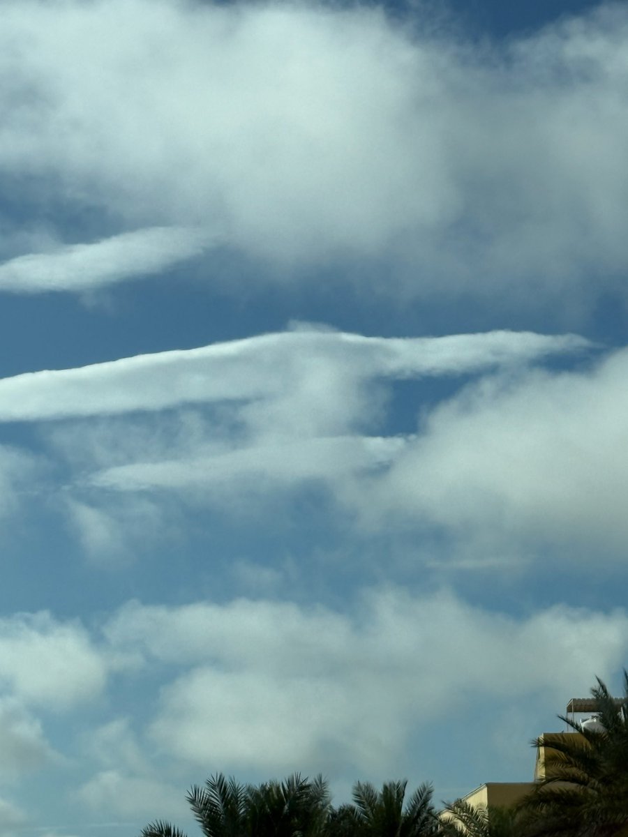 シニア tweet media