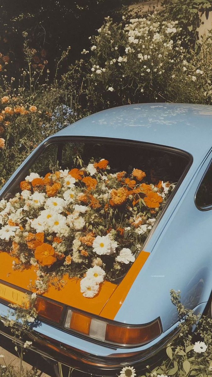 Poet's Photos tweet media