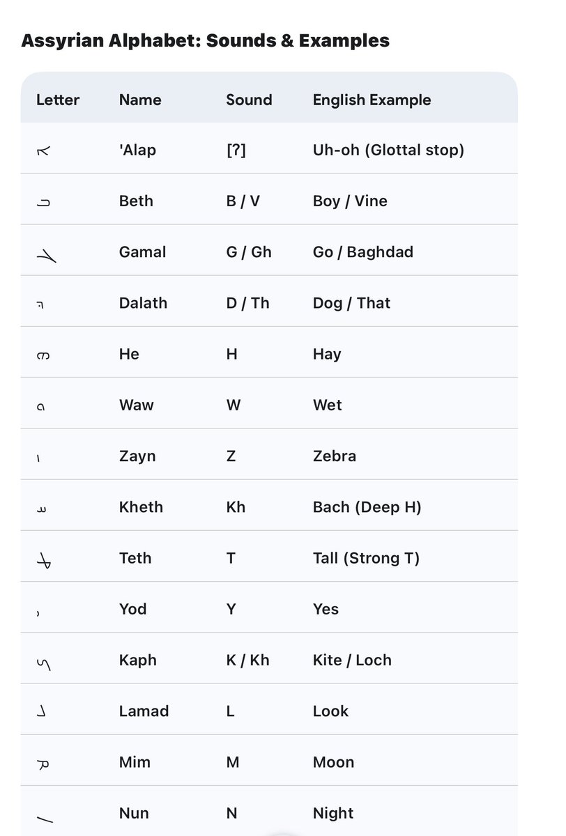 Nenos Chamany ܢܝܢܘܣ ܟܡܢܝ tweet media