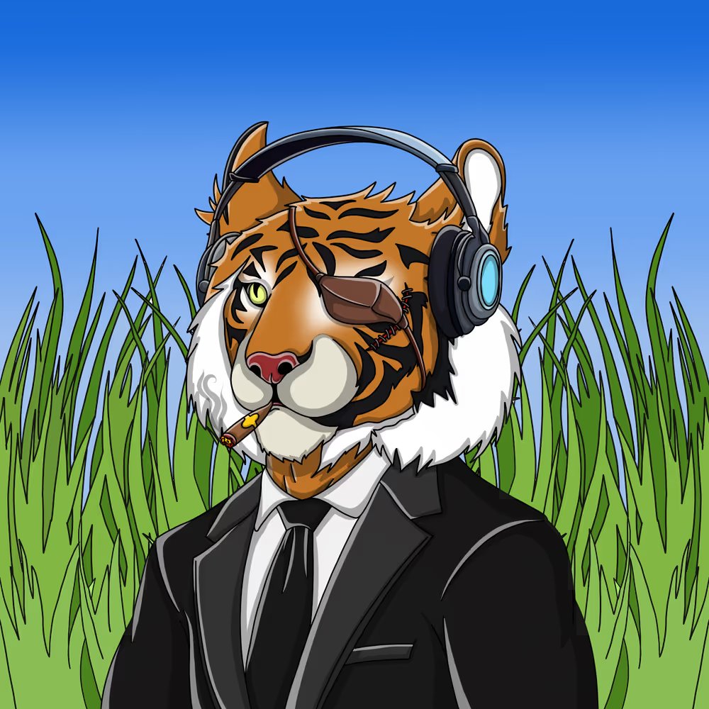 Cracking Cards 🐯 tweet media