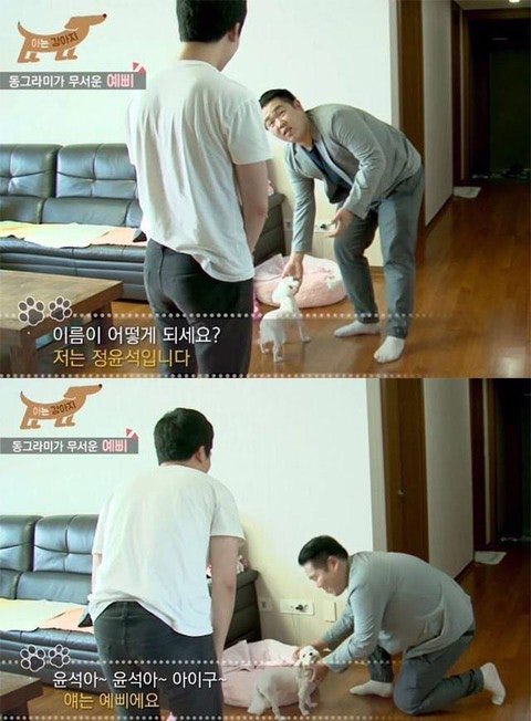 콜리!! tweet media