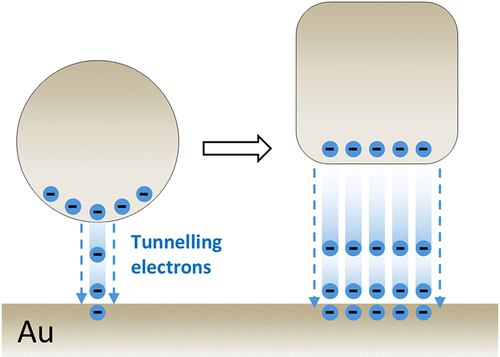 BryanKeIIy's tweet photo. Extended Quantum Tunnelling Distance in Planar Plasmonic Gaps https://t.co/I3L72zNPCu https://t.co/NhIhHzDNLT
