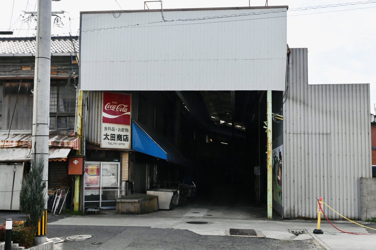 羽鳥写真館 tweet media