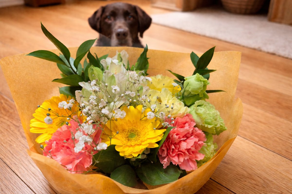 masaccio︎︎︎︎🪶 tweet media