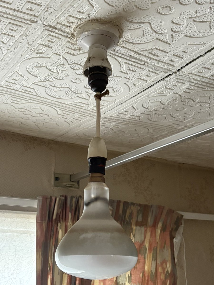 ses_simon's tweet photo. Why the Right Bathroom Light Matters
Most people don’t think twice about the light above their shower… but they really should. 
A small upgrade can make a big difference to your safety and peace of mind
#Electrician #BathroomSafety #BathroomLighting #IPRated #ElectricalSafety https://t.co/Gq7nsKI9ja