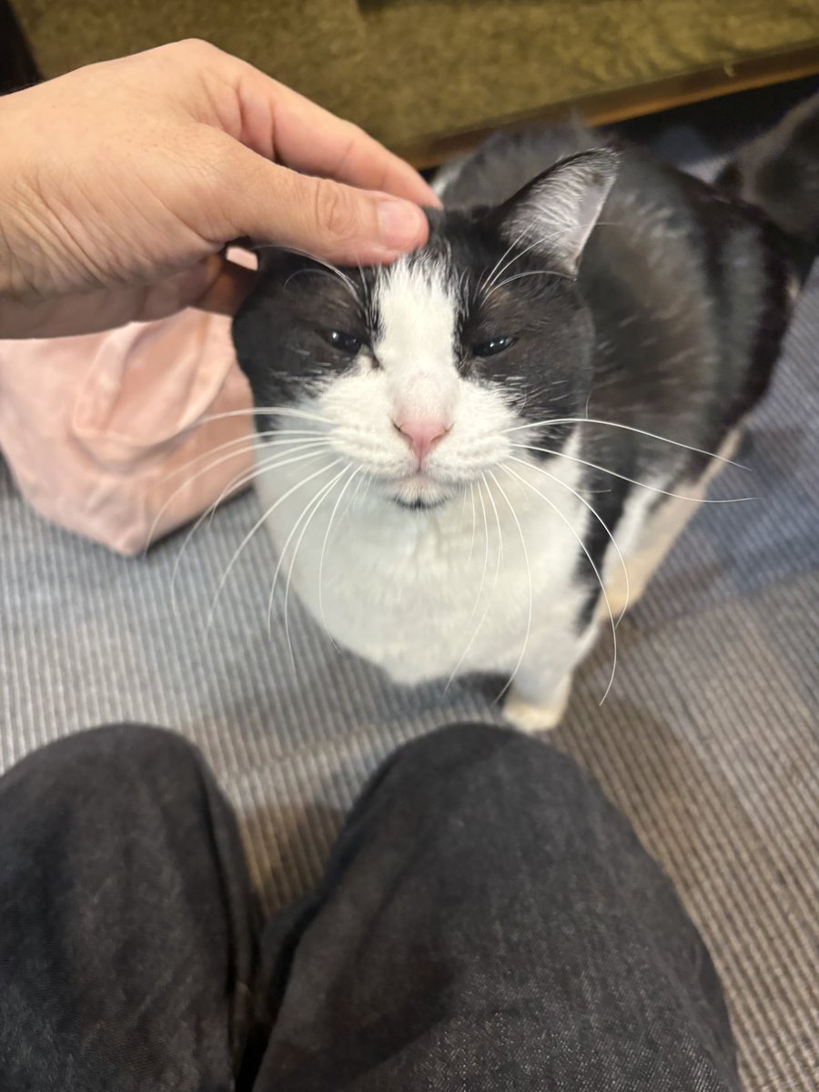 福田 展大 tweet media