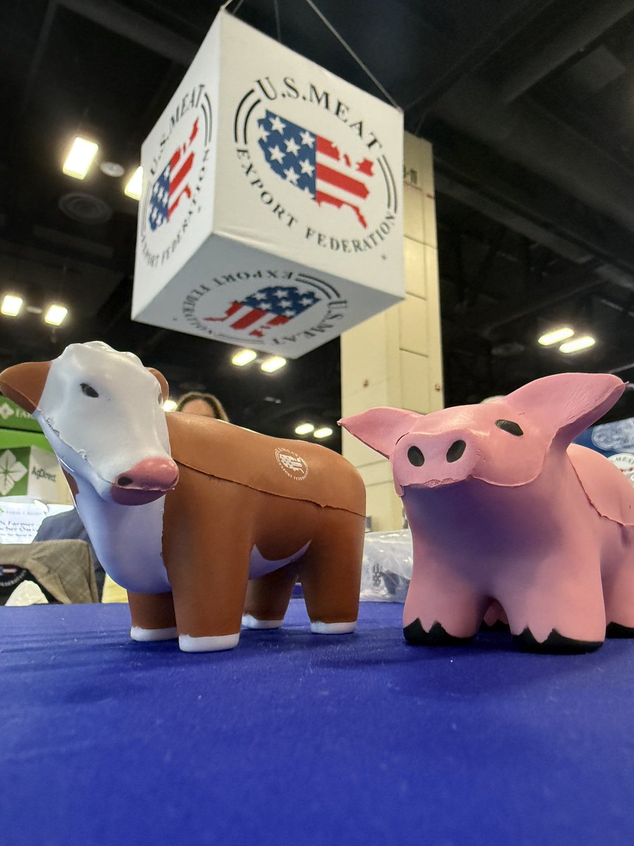 Ashley Michels tweet media