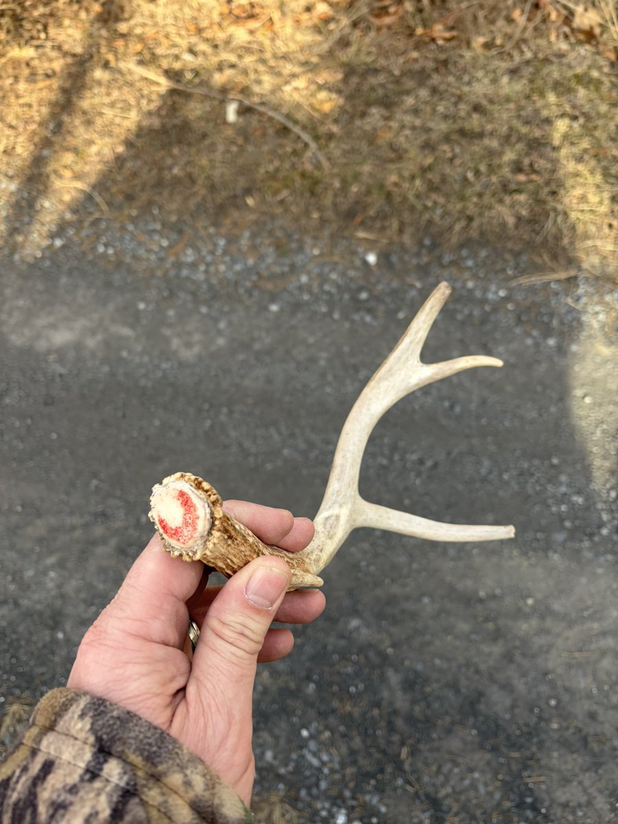 Sean Tucker tweet media