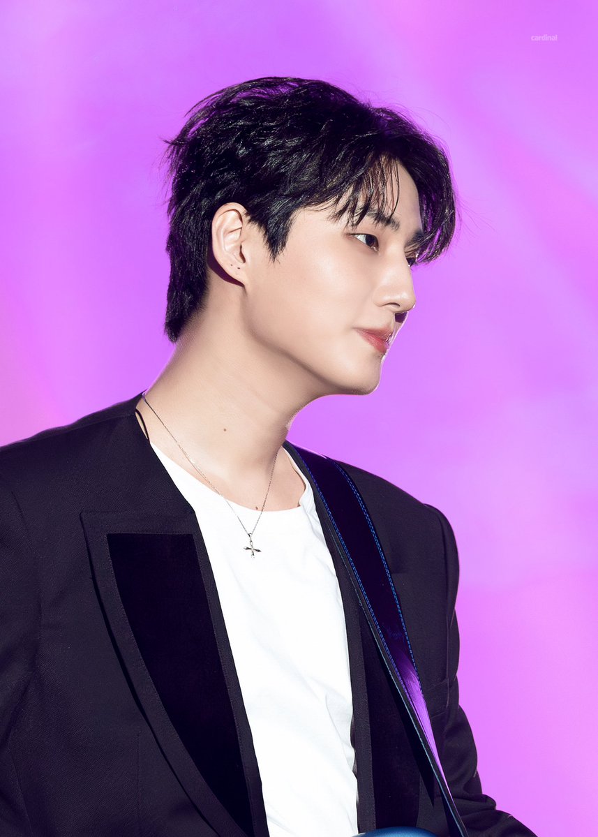 cardinal. tweet media