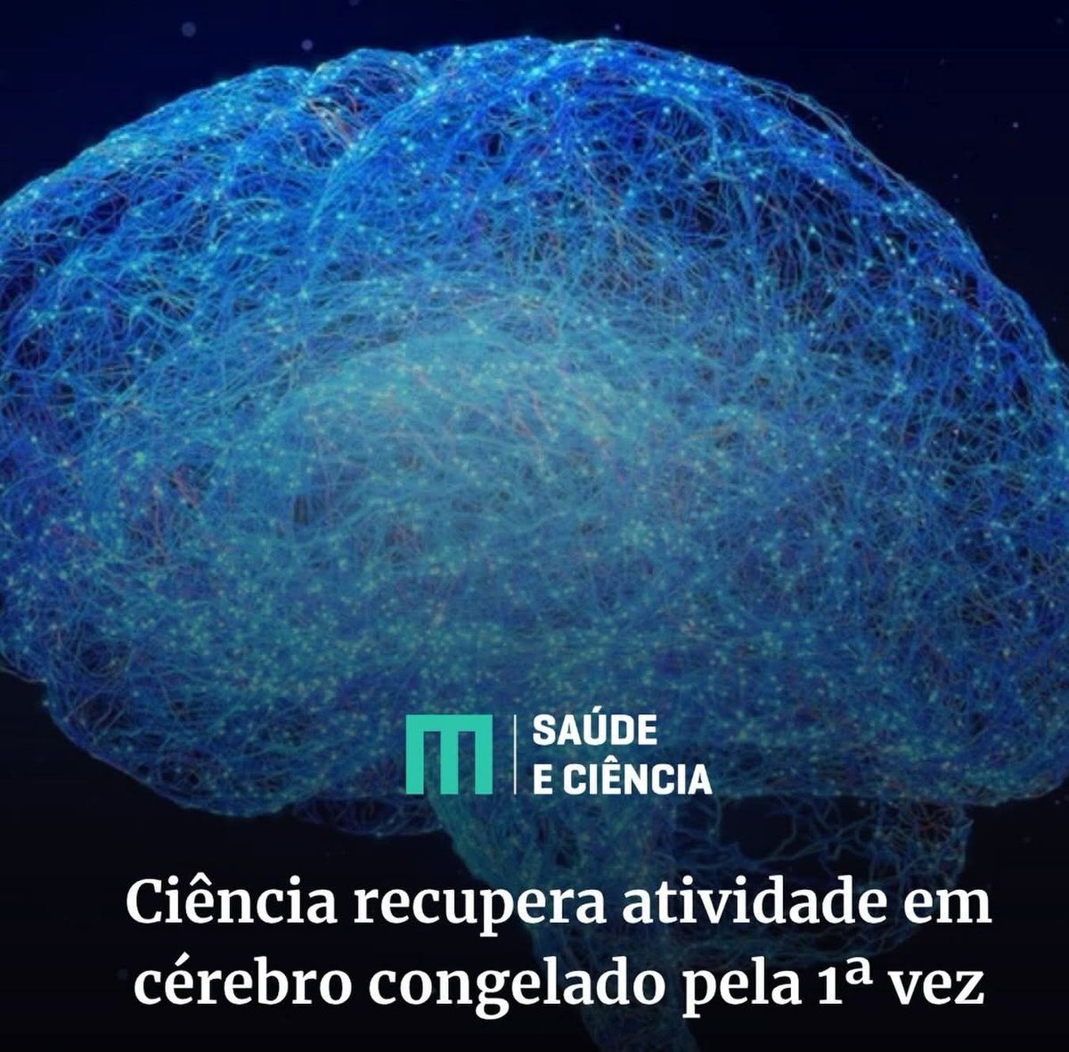 fiscaldofim's tweet photo. Agora a coisa ficou séria 😱 https://t.co/y1WXjeM9Bi