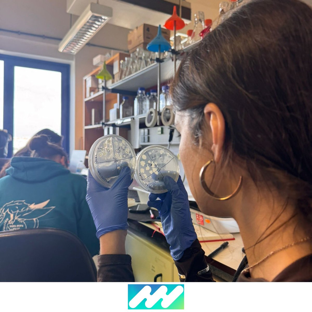 iPlantMicro Lab tweet media