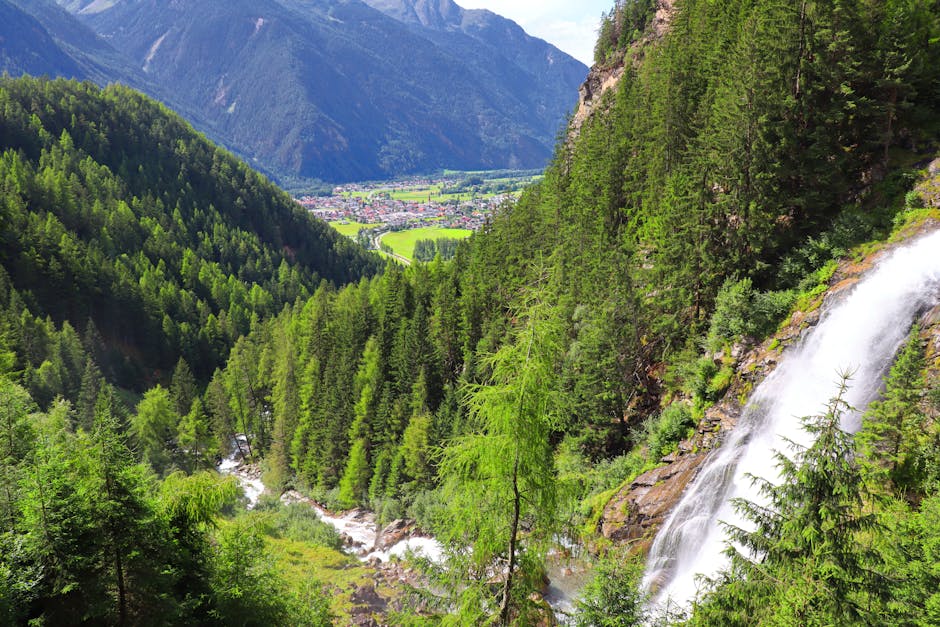 Brandon Johnson tweet media