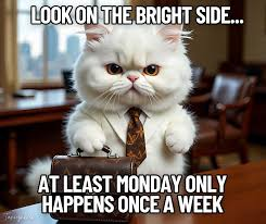 Caravans & Campers tweet media