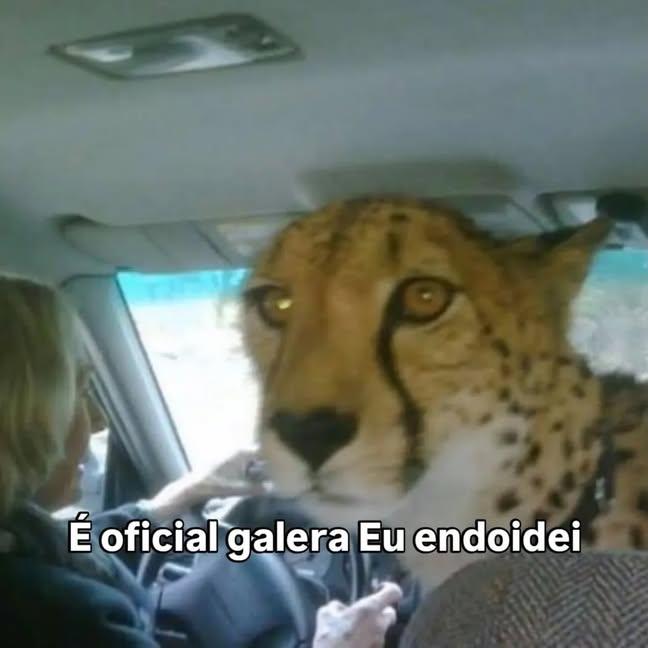 𝖚𝖘𝖚𝖆𝖗𝖎𝖔 𝖓𝖔𝖛𝖔 ㋡ tweet media