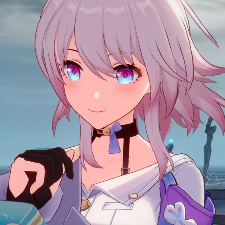 timely march 7th / evernight tweet media